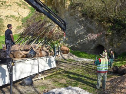 Die Bäume bei der Anlieferung. (Foto: Josef Vorlaufer)
