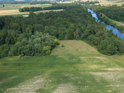 Auf dem Foto erkennt man eine der Ersatzaufforstungsflächen mit Jungbäumen neben einer Fläche, die vor bereits vor rund 15 Jahren durch ähnliche Maßnahmen aufgeforstet wurde. Man erkennt deutlich wie sich die Jungbäume in einigen Jahren zu einem Wald heranwachsen werden. (Foto: Arman Kalteis)