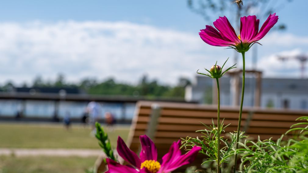 Ein Foto des Sturm 19 Parks. (Foto: Christian Krückel)