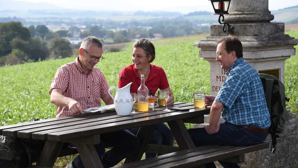 Drei Personen spazieren den Manker Wallfahrerweg entlang. (Foto: Josef Vorlaufer)
