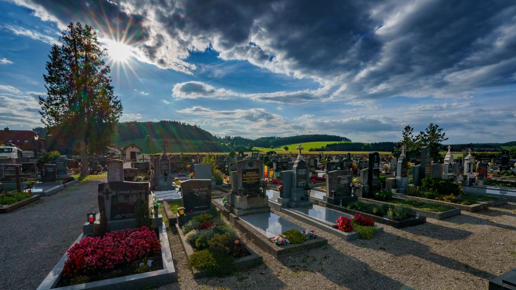 Hauptfriedhof St. Pölten. (Foto: Josef Bollwein)