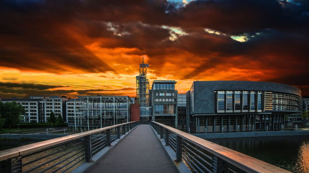 Foto: SepaMedia_Seiberl Stark