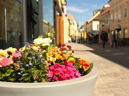 St. Pölten blüht auf