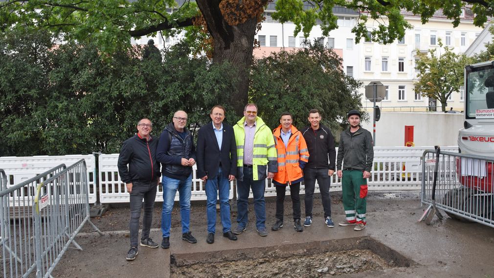 Gärtnermeister Robert Wotapek, Baudirektor Wolfgang Lengauer, Bürgermeister Matthias Stadler, Christian Groissmaier, Stefan Amashaufer, Philipp Bayerl und Daniel Brandtner von der Stadtgärtnerei bei der Besichtigung der Sondierungsschächte vor der Schillereiche. (Foto: Josef Vorlaufer)