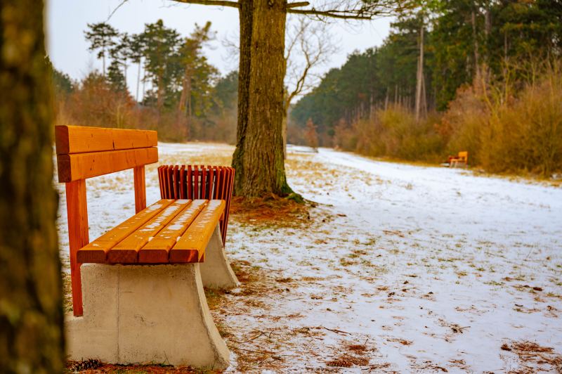 Begrnung Kopal Kasernengelnde 4 von 16