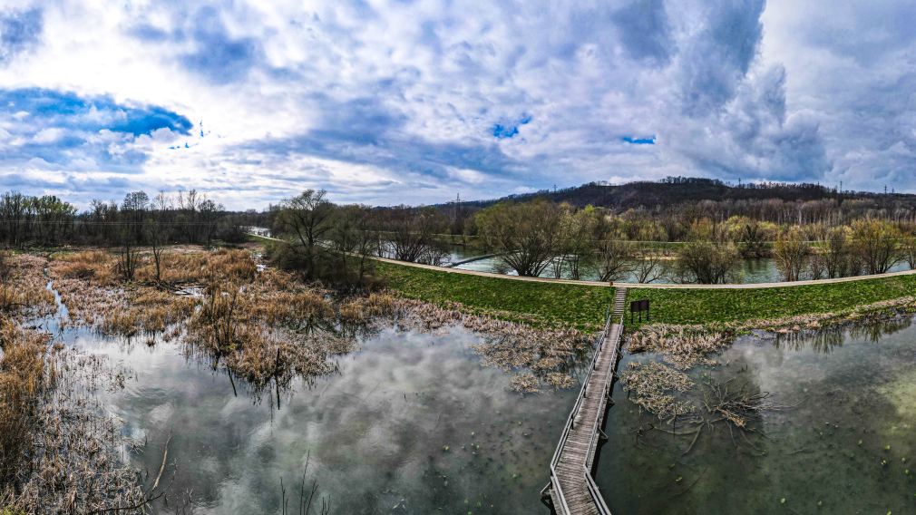 Luftaufnahme des Gebiets Naturlehrpfad Feldmühle in Ratzersdorf. (Foto: Arman Kalteis)