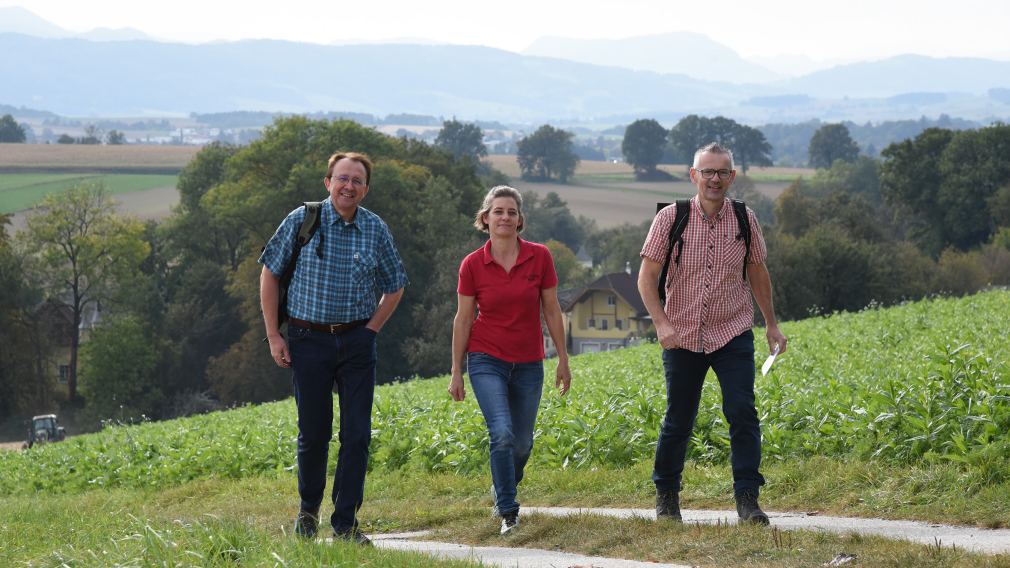 Drei Personen spazieren den Manker Wallfahrerweg entlang. (Foto: Josef Vorlaufer)