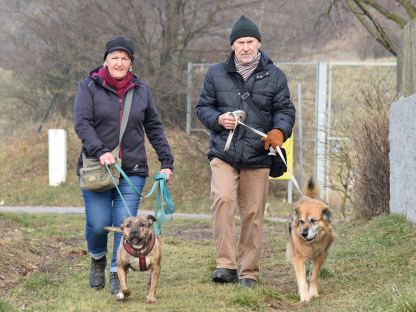 Für alle Hundefreunde: Auf einer Fläche in der Größe von zwei Basketballfeldern soll in der Nähe der Zeugen Jehovas eine zweite Hundezone entstehen. (Foto: Josef Vorlaufer)