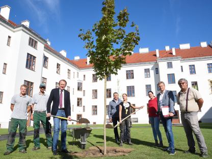 Bürgermeister Matthias Stadler die Mitarbeiter der Fa. Rath, Martin Sadler, Roswitha Schmidt, Roland Gronister und Anton Rath begrünen den Innenhof. Foto: Josef Vorlaufer