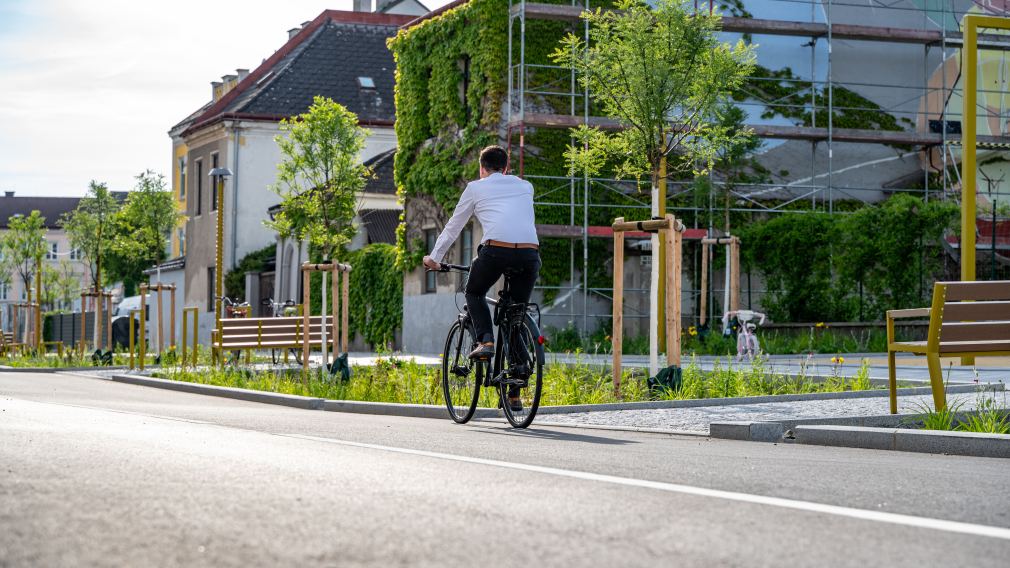 Ein Radfahrer beim neugestalteten Promenadenring. (Foto: Christian Krückel)