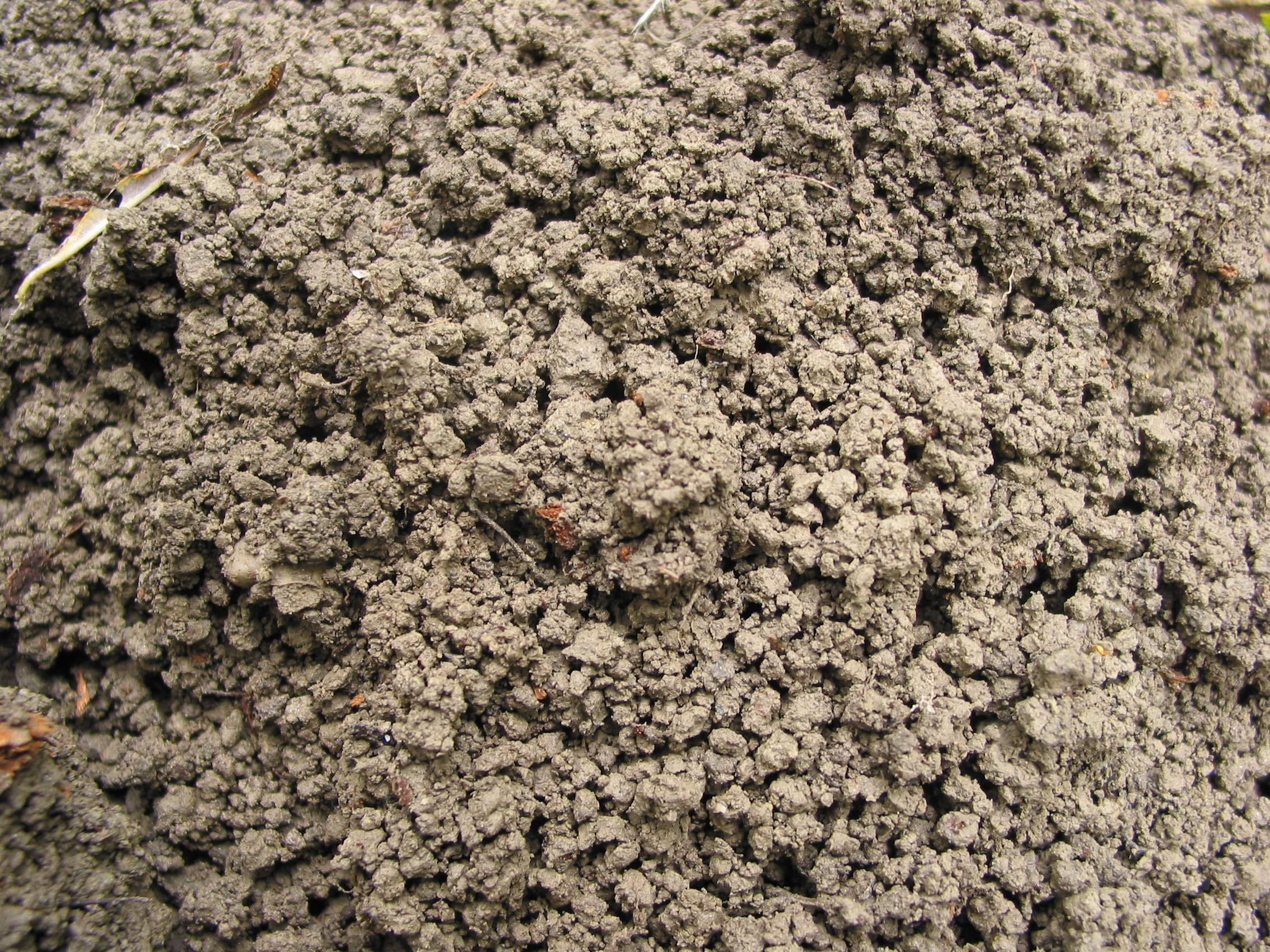 Boden als CO2 Speicher Gunther Aust