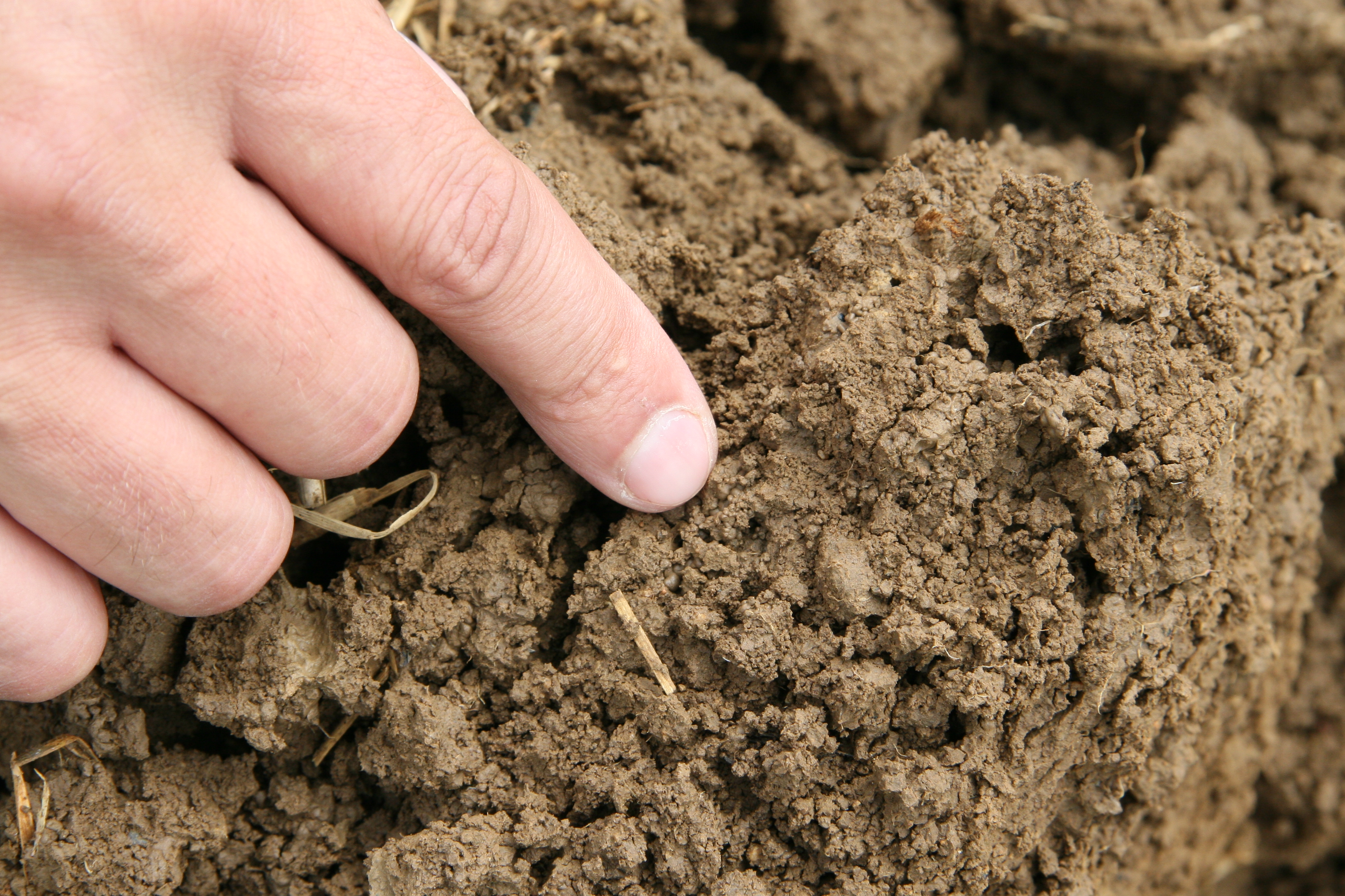 Boden als Nahrungsgrundlage Landwirtschaftskammer NO Archiv