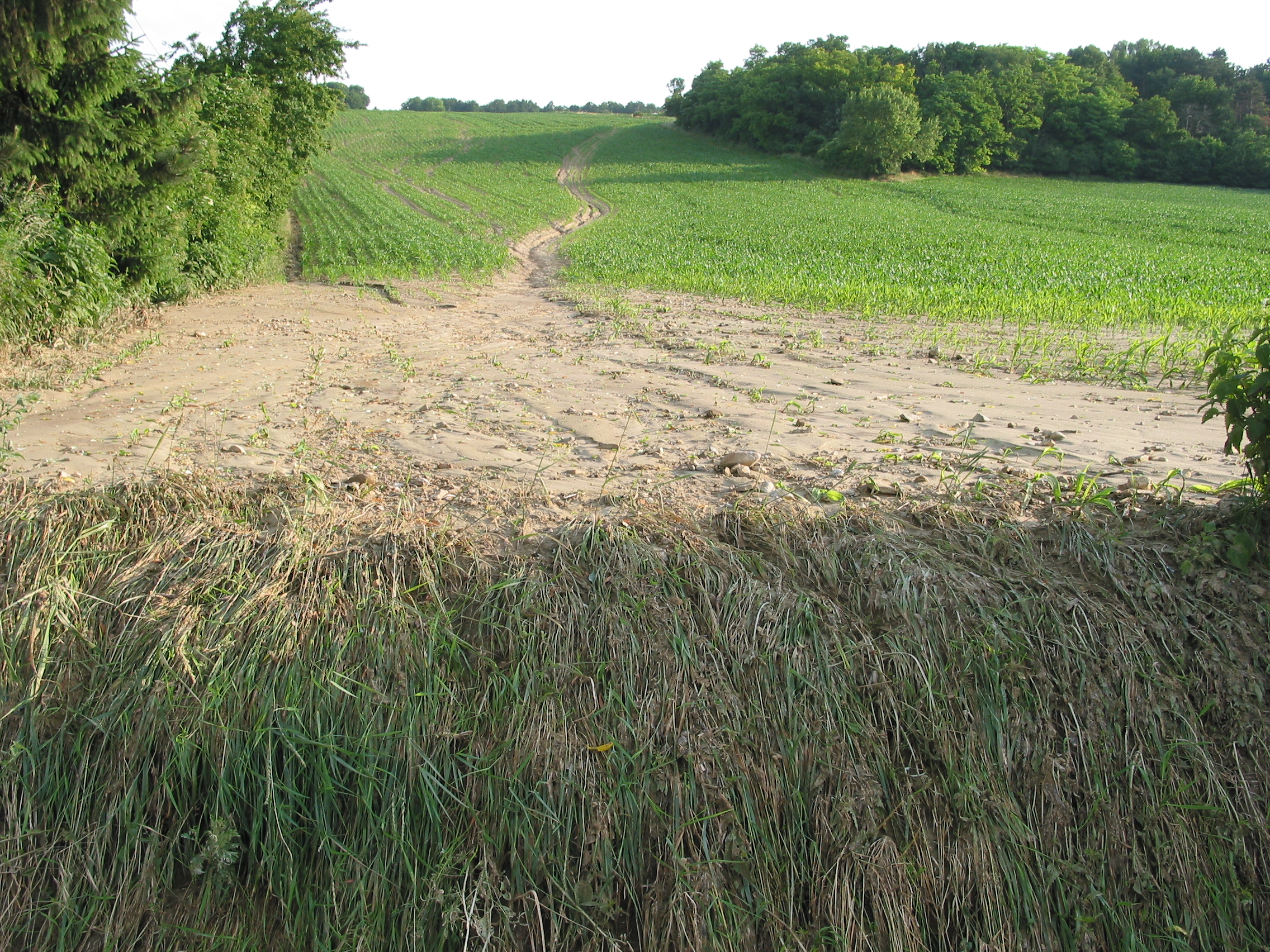 Bodenerosion Gunther Aust
