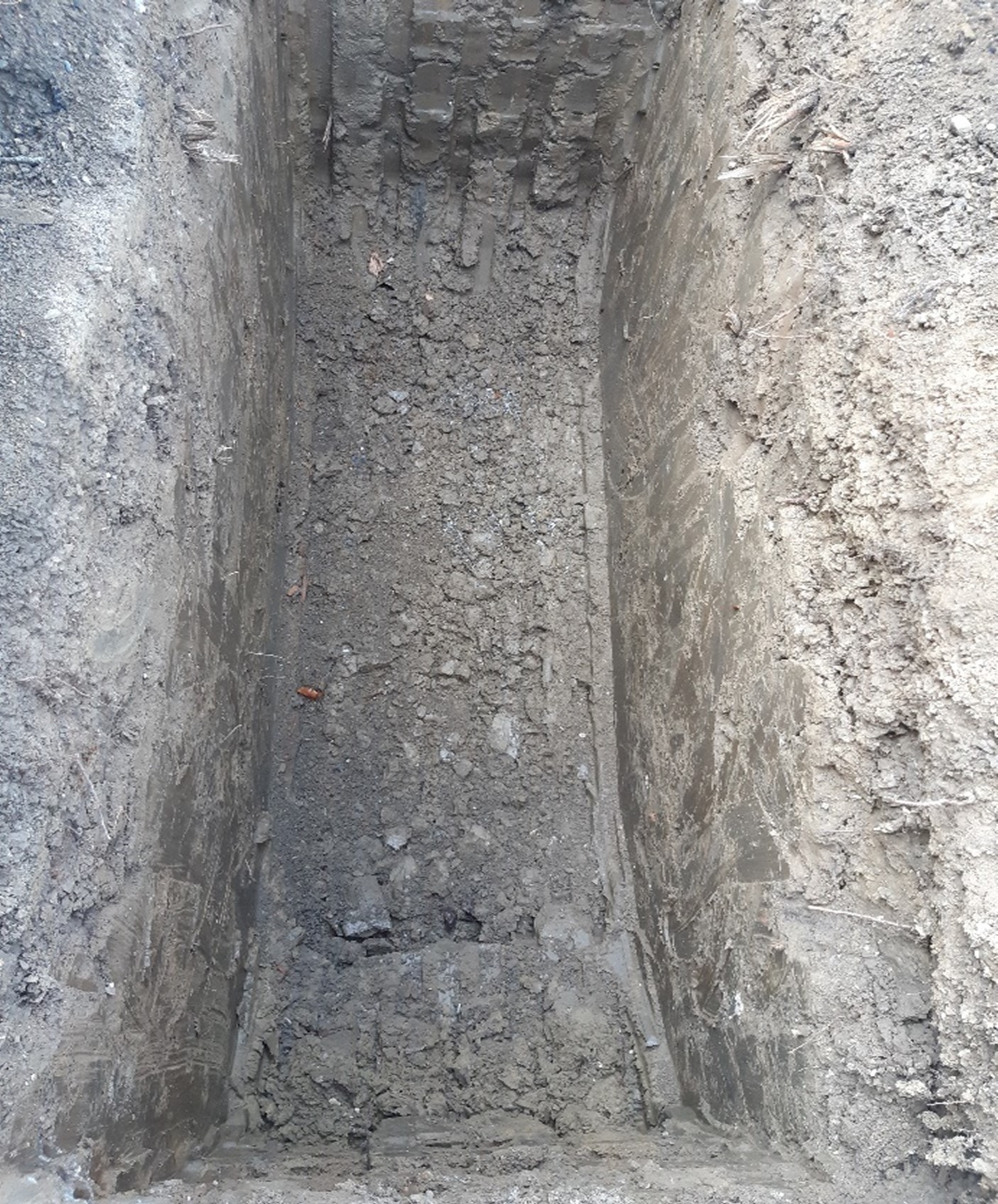 Grab am Hauptfriedhof St. Polten Andreas Wittmann